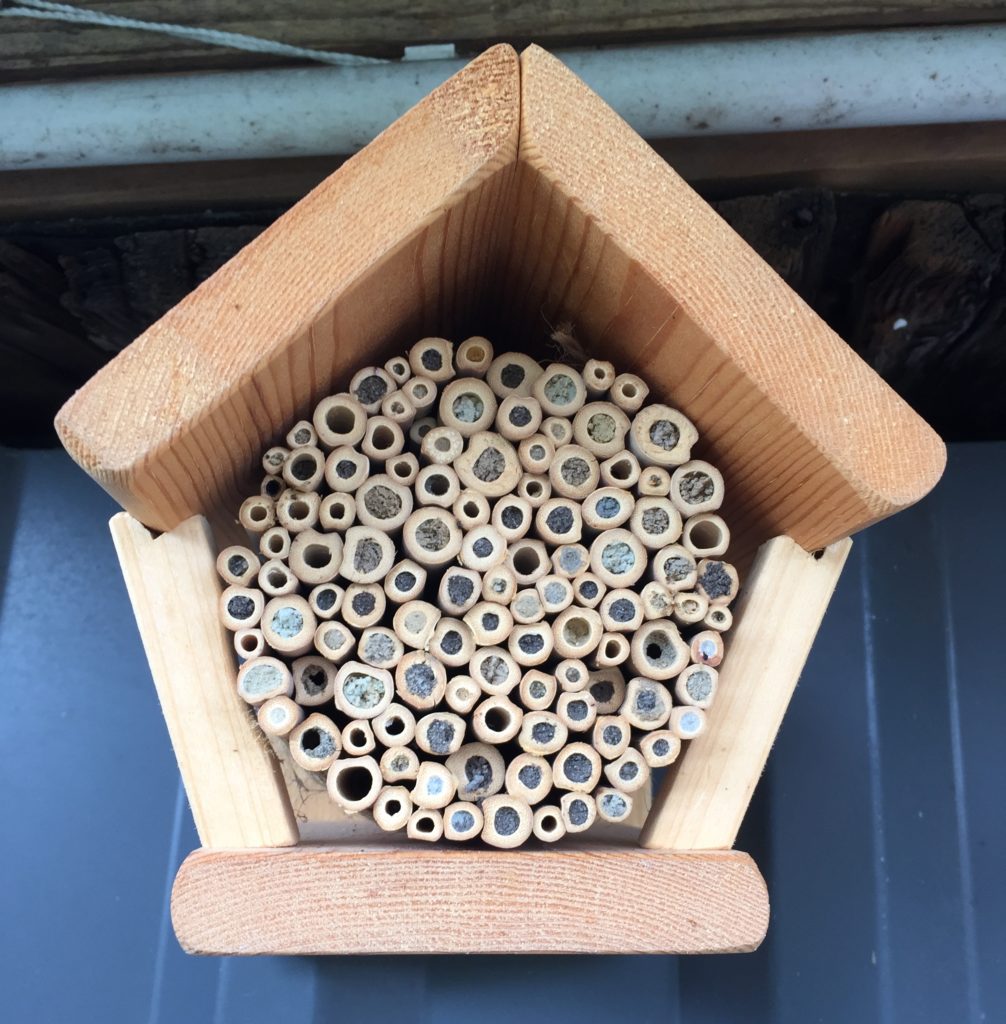 Selbstgebaute und von Insekten bezogene Insektenwohung von vorne fotografiert. Die genutzten, verdeckelten Röhren sind sehr gut zu sehen.